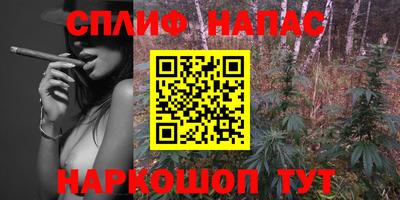 гашик Заводоуковск