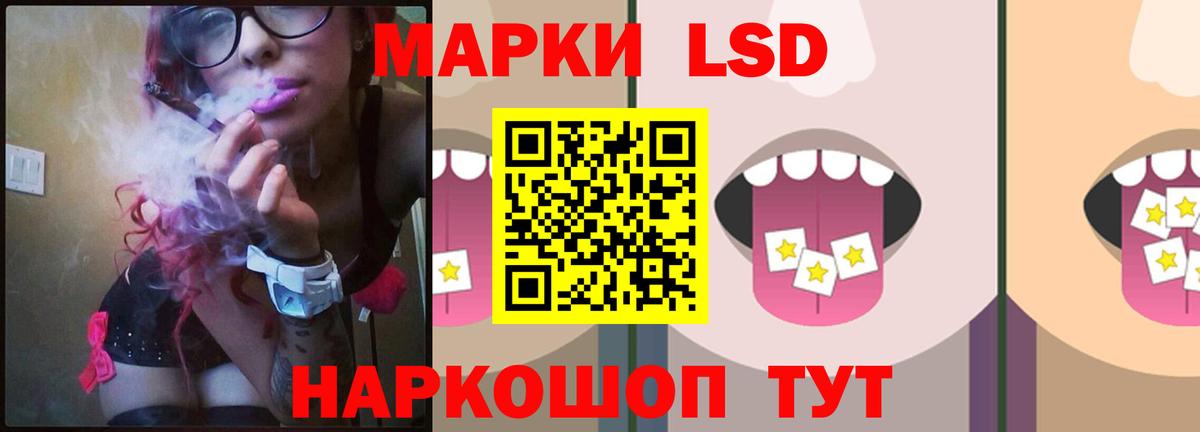 ТГК Мурино