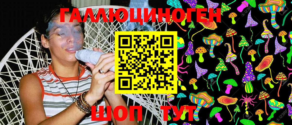 купить закладку  Вход с VPN  Мурино  Галлюциногенные грибы Cubensis 